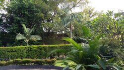 Ridout Road (D10), Detached #497030341
